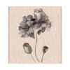 Petals Of Beauty Stamp 2 Petals Of Beauty Stamp -Little Craft Place K5897PaintedFlowerRubberStamp