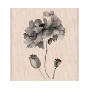 Petals of Beauty Stamp Petals Of Beauty Stamp -Little Craft Place K5897PaintedFlowerRubberStamp