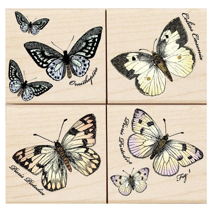 Papillons Stamp Set Papillons Stamp Set -Little Craft Place LL736PapillonsStampSet