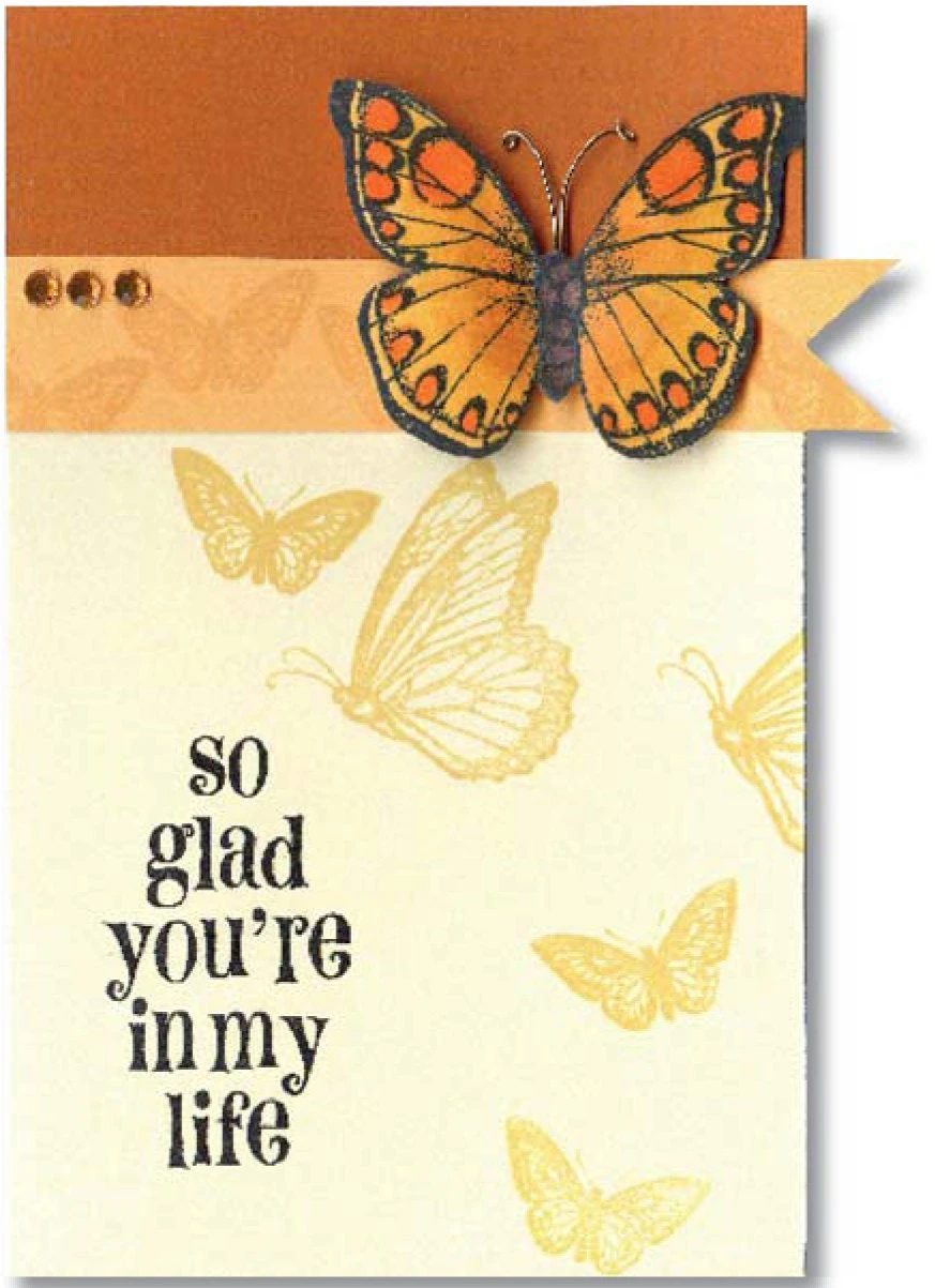 Papillons Stamp Set Papillons Stamp Set -Little Craft Place LL736PapillonsStampSet4