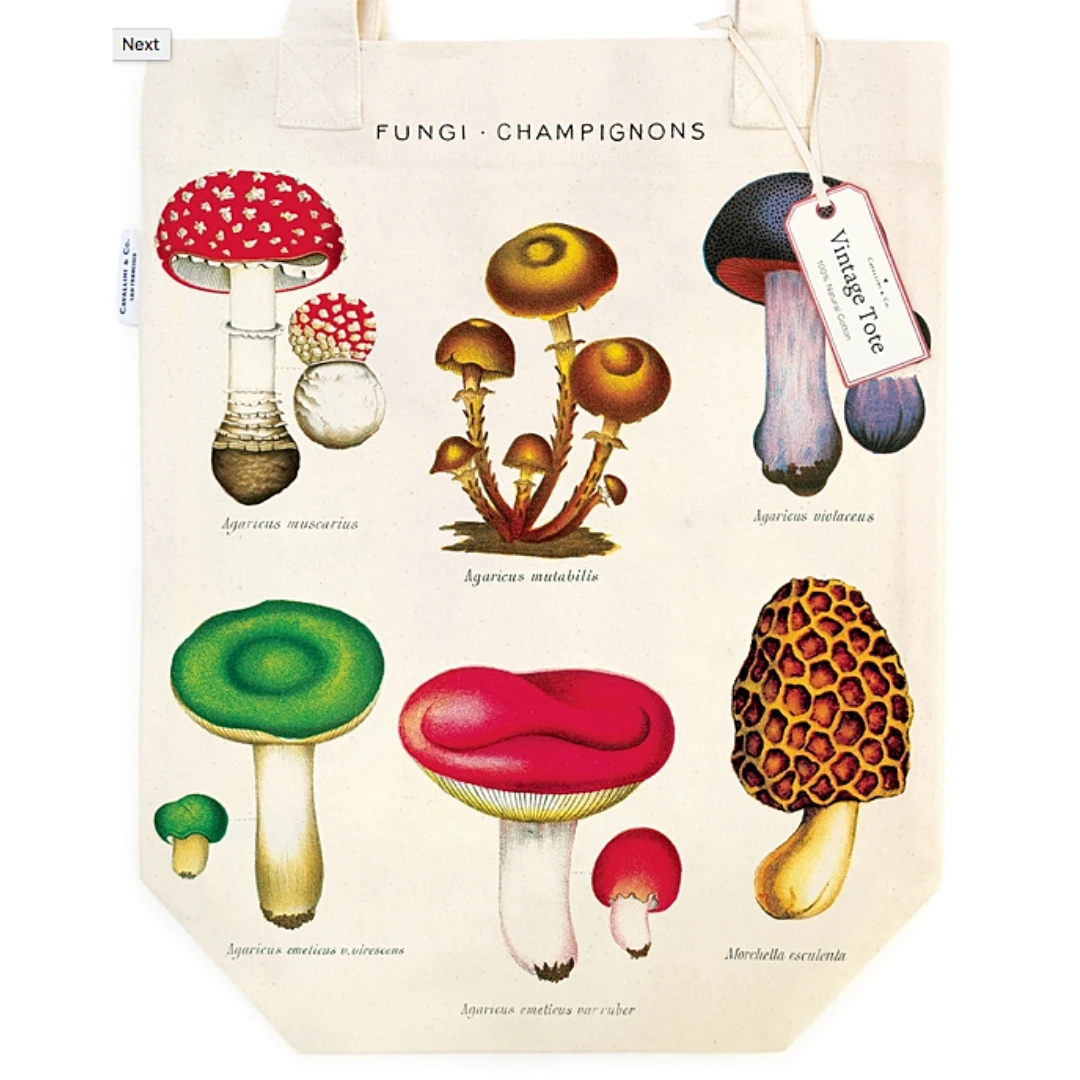Mushroom Tote Bag Mushroom Tote Bag -Little Craft Place MushroomTotebagCavallini 1024x1024 2x 0b7ddee6 1ef3 43a3 aef8 9e06834b7464